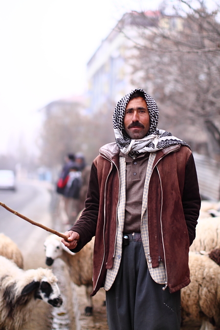 Les bergers kurdes sont là. Leur noblesse attire mon regard.